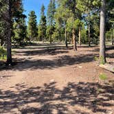 Review photo of West Magnolia Campground by Dave , July 28, 2022
