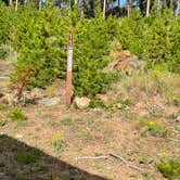 Review photo of West Magnolia Campground by Dave , July 28, 2022