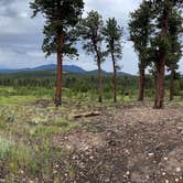Review photo of West Magnolia Campground by Dave , July 28, 2022