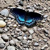 Review photo of Wolf Run State Park Campground by Jessica R., July 28, 2022