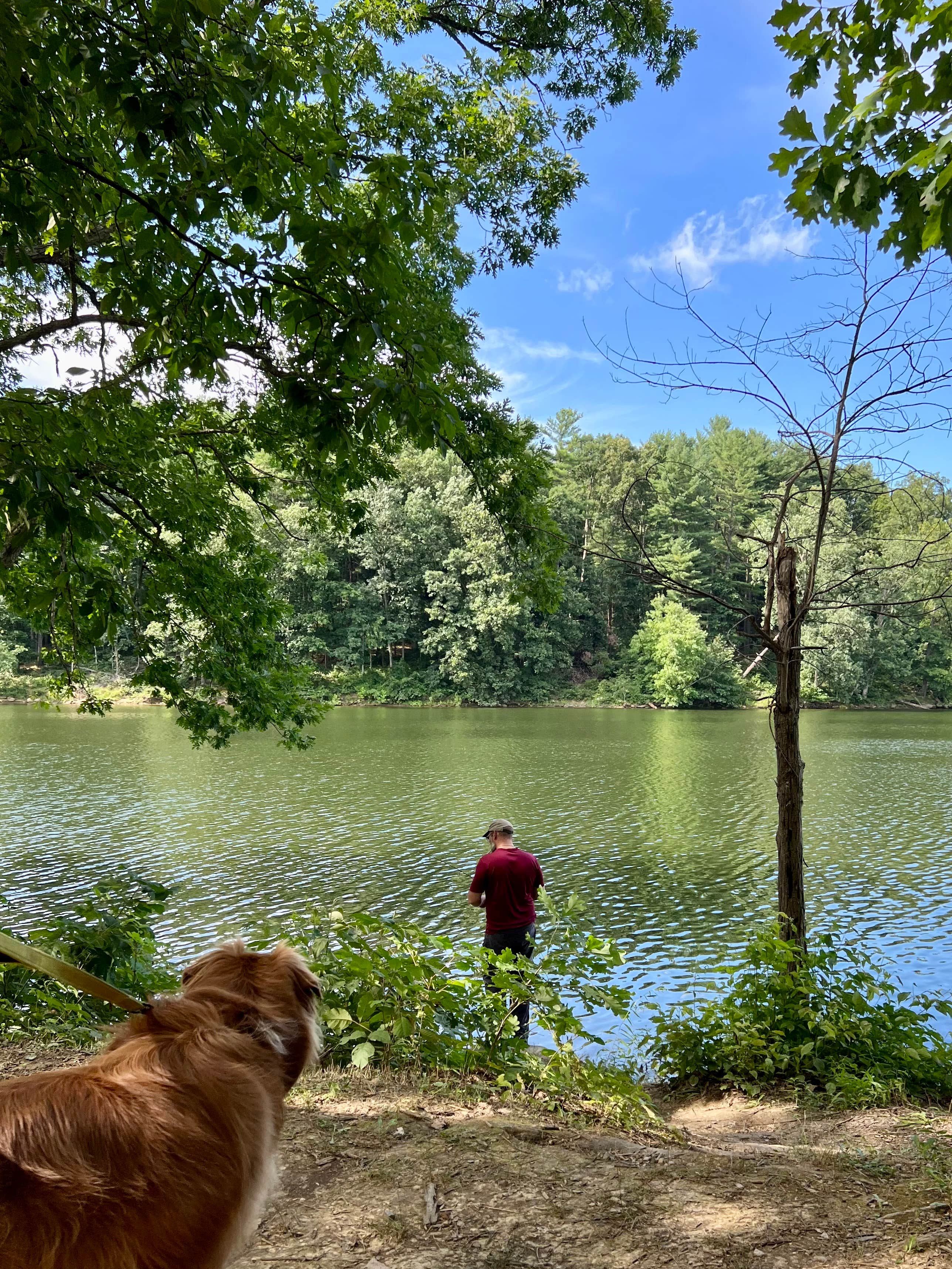 Jessica R.'s photo of camping with pets at Wolf Run State Park Campground near Cambridge, OH
