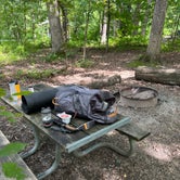 Review photo of Camp Sullivan by Connor E., July 28, 2022
