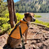 Review photo of Bull Trout Lake Campground by Vivi W., July 28, 2022