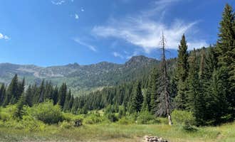 Camping near Pine Creek - Cottonwood Campground — Wasatch Mountain State Park: Mineral Basin Dispersed, Alta, Utah