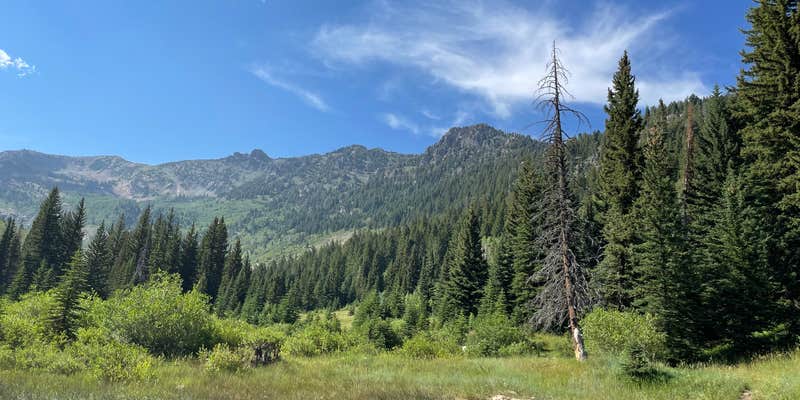 Camper submitted image from Mineral Basin Dispersed