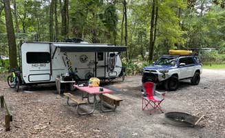 Jeff A.'s photo at Manatee Springs State Park Campground near Trenton, FL