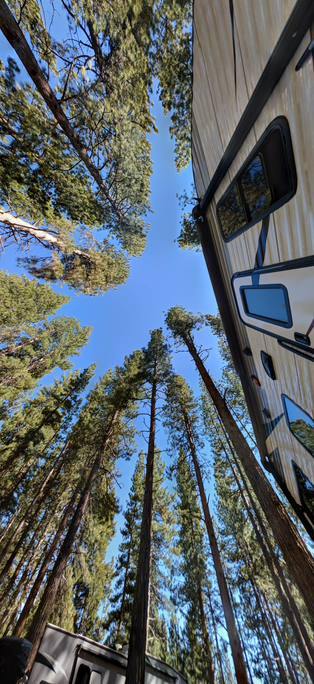 Camper-submitted photo at Grasshopper Flat near Clio, CA