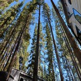 Review photo of Grasshopper Flat by D.j. P., July 21, 2018