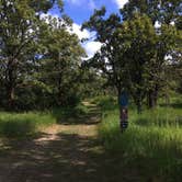 Review photo of Lake Bronson State Park Campground by Allysa K., July 21, 2018