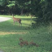 Review photo of Harrison Bay State Park Campground by Frank L., July 29, 2022