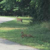 Review photo of Harrison Bay State Park Campground by Frank L., July 29, 2022