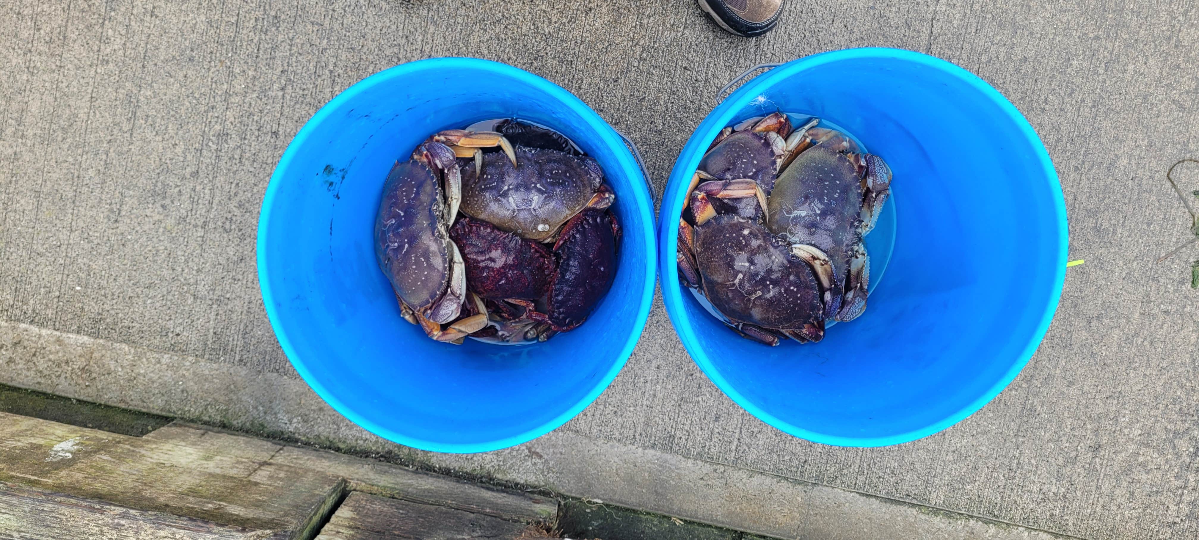 Camper-submitted photo at Sun Outdoors Coos Bay near Bandon, OR