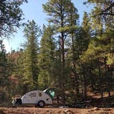 Review photo of Red Canyon Campground by Mary S., July 21, 2018