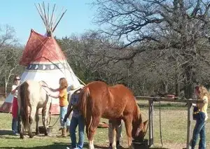 Camper-submitted photo at Camp Tonkawa Woods & Horse Camp near Gainesville, TX
