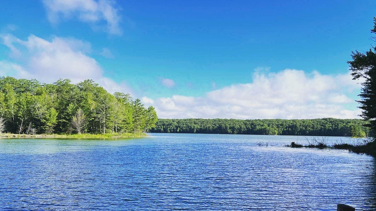 Camper submitted image from Starrett Lake Campground - 3