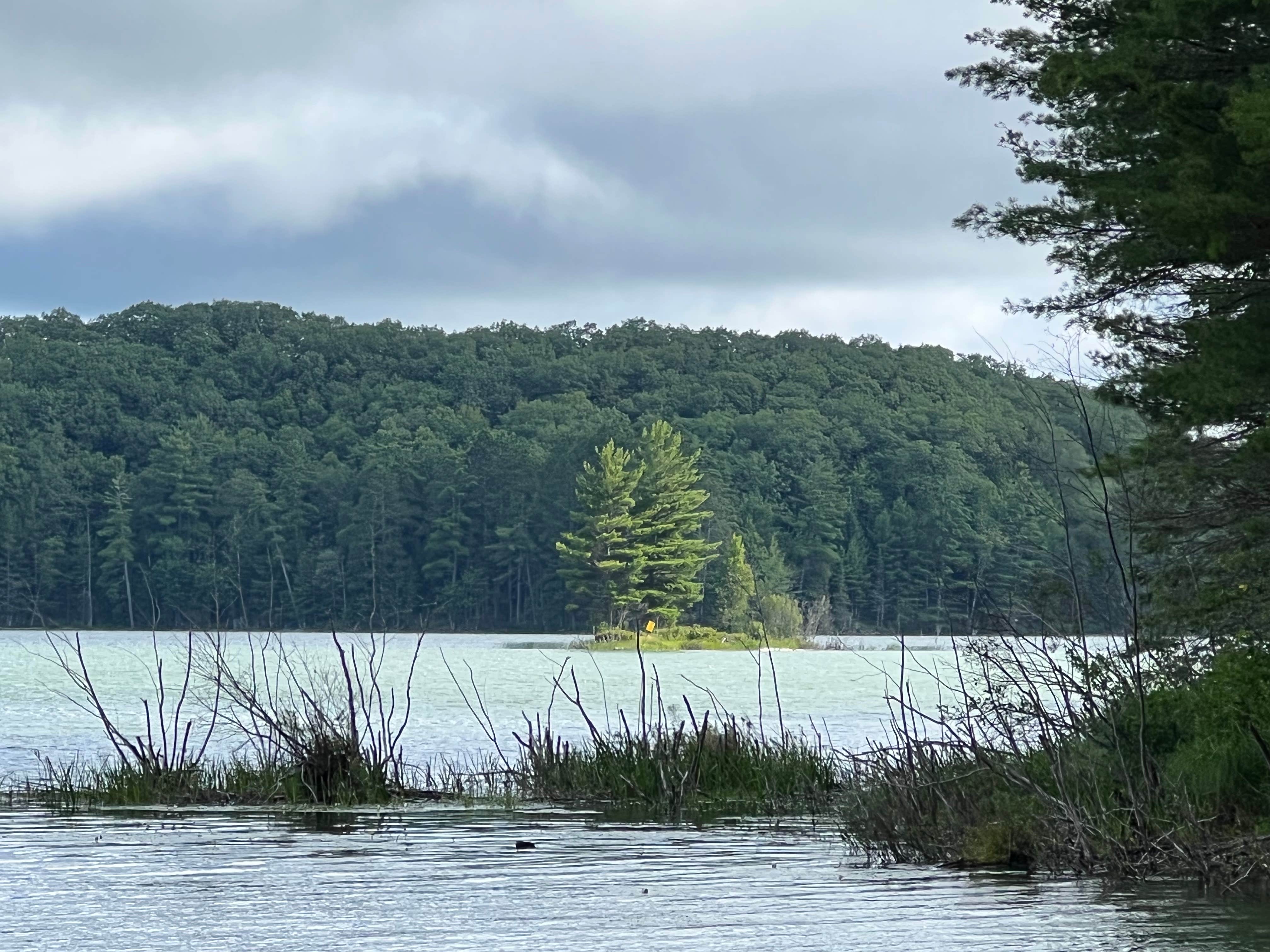 Camper submitted image from Starrett Lake Campground - 2