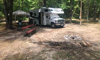 Camping near Michigan Oaks Camping Resort: East Mullet campground , Indian River, Michigan