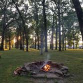 Review photo of Whittington Woods Campground by Jan S., July 29, 2022