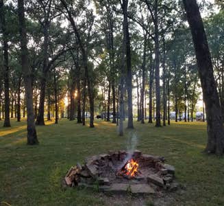 Camper-submitted photo from Whittington Woods Campground