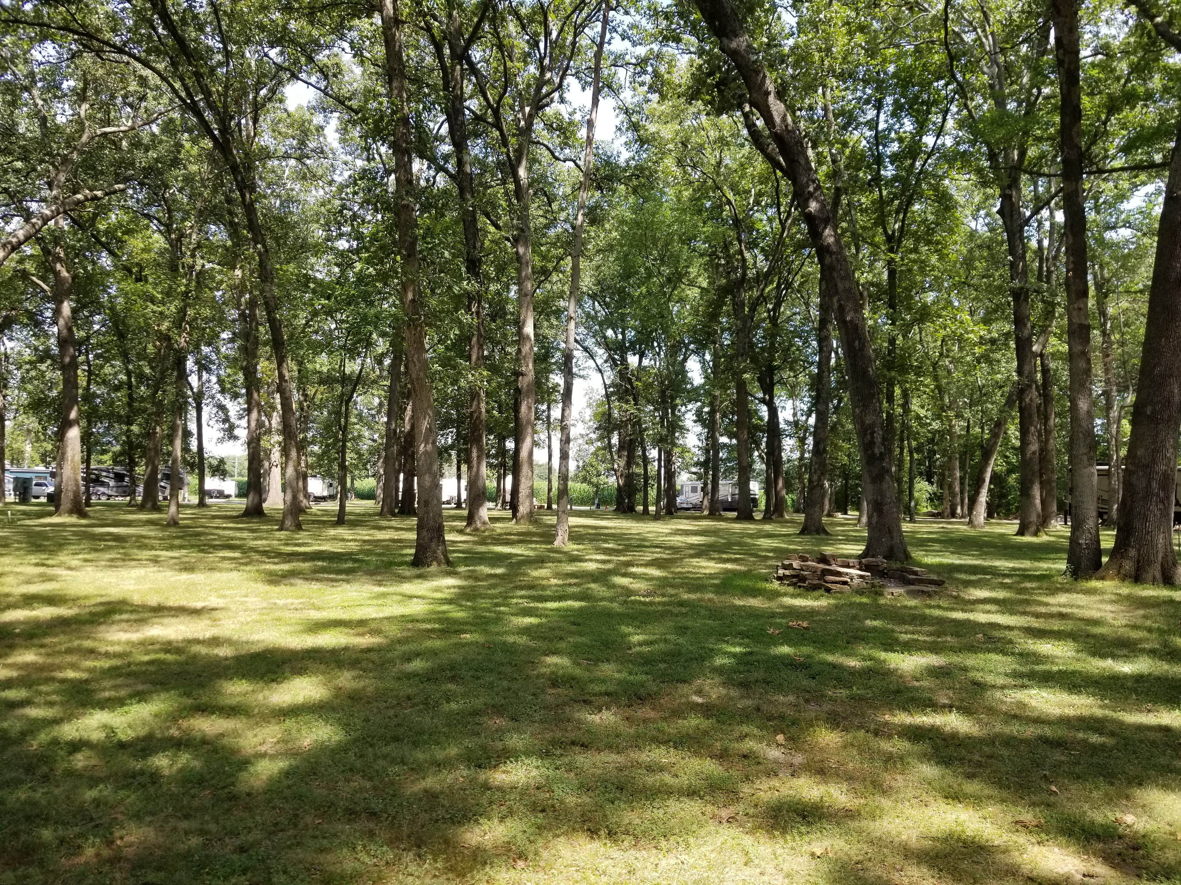 Camper-submitted photo at Whittington Woods Campground near Johnston City, IL