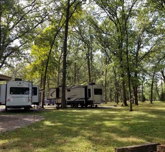 Camper-submitted photo from Whittington Woods Campground