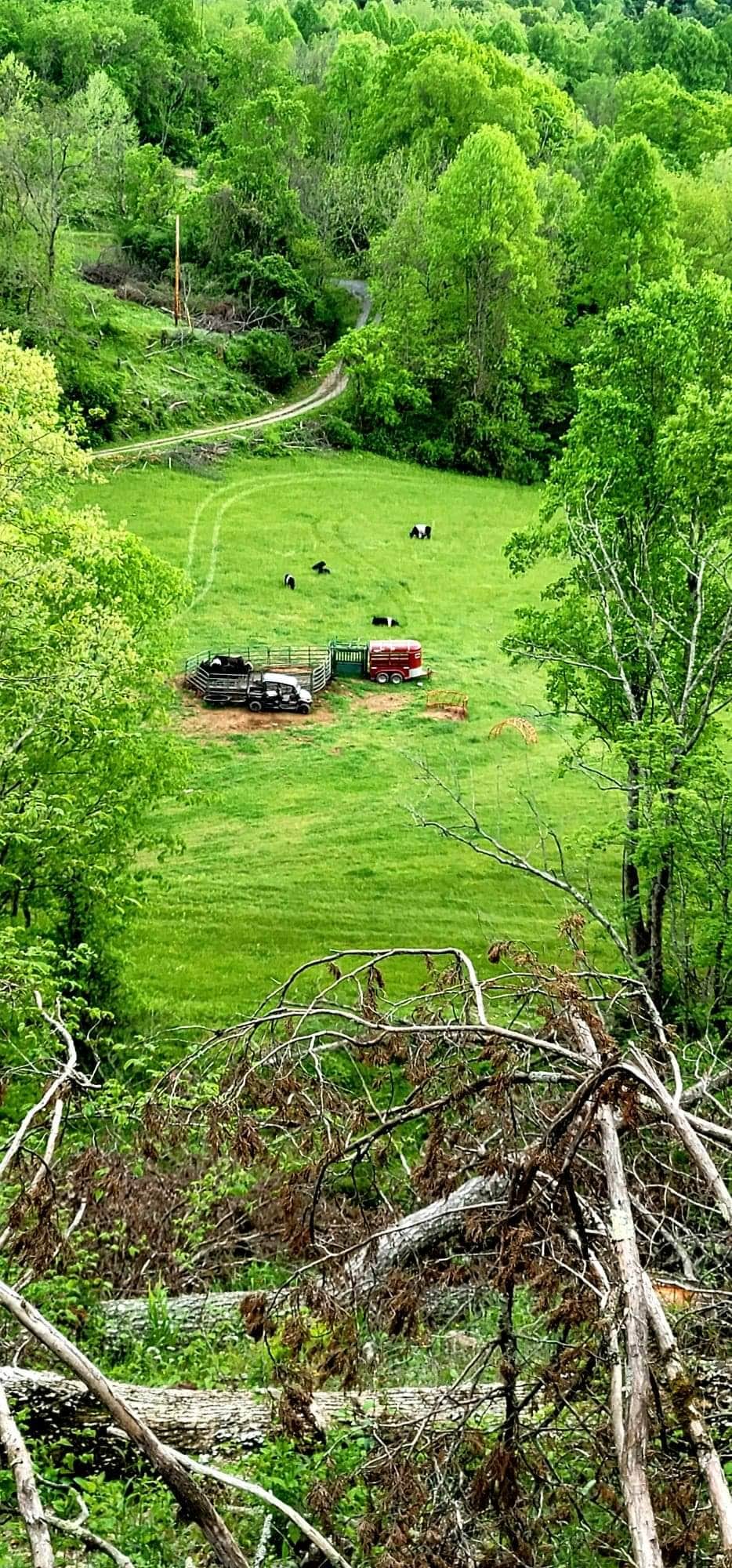 Camper-submitted photo at Misfit Farmz Campground near Shawanee, TN