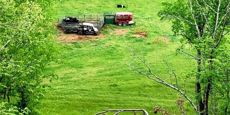 Camper submitted image from Misfit Farmz Campground