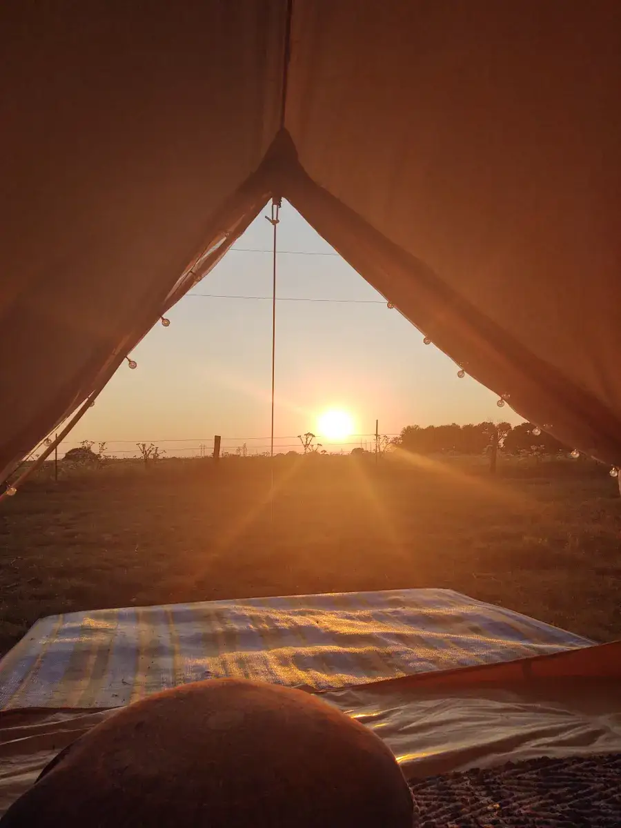 Camper-submitted photo at Lazy H Alpaca Ranch near Warr Acres, OK