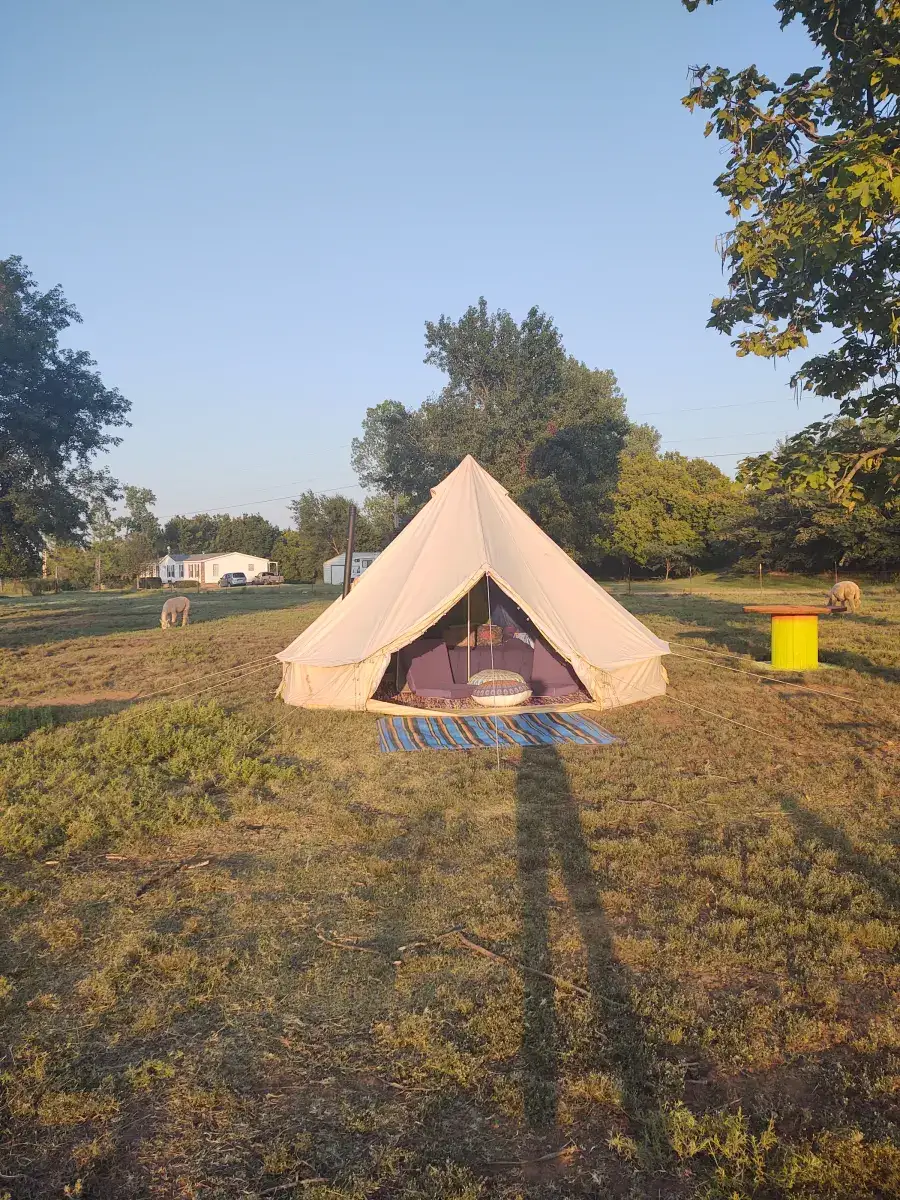 Camper-submitted photo at Lazy H Alpaca Ranch near Warr Acres, OK