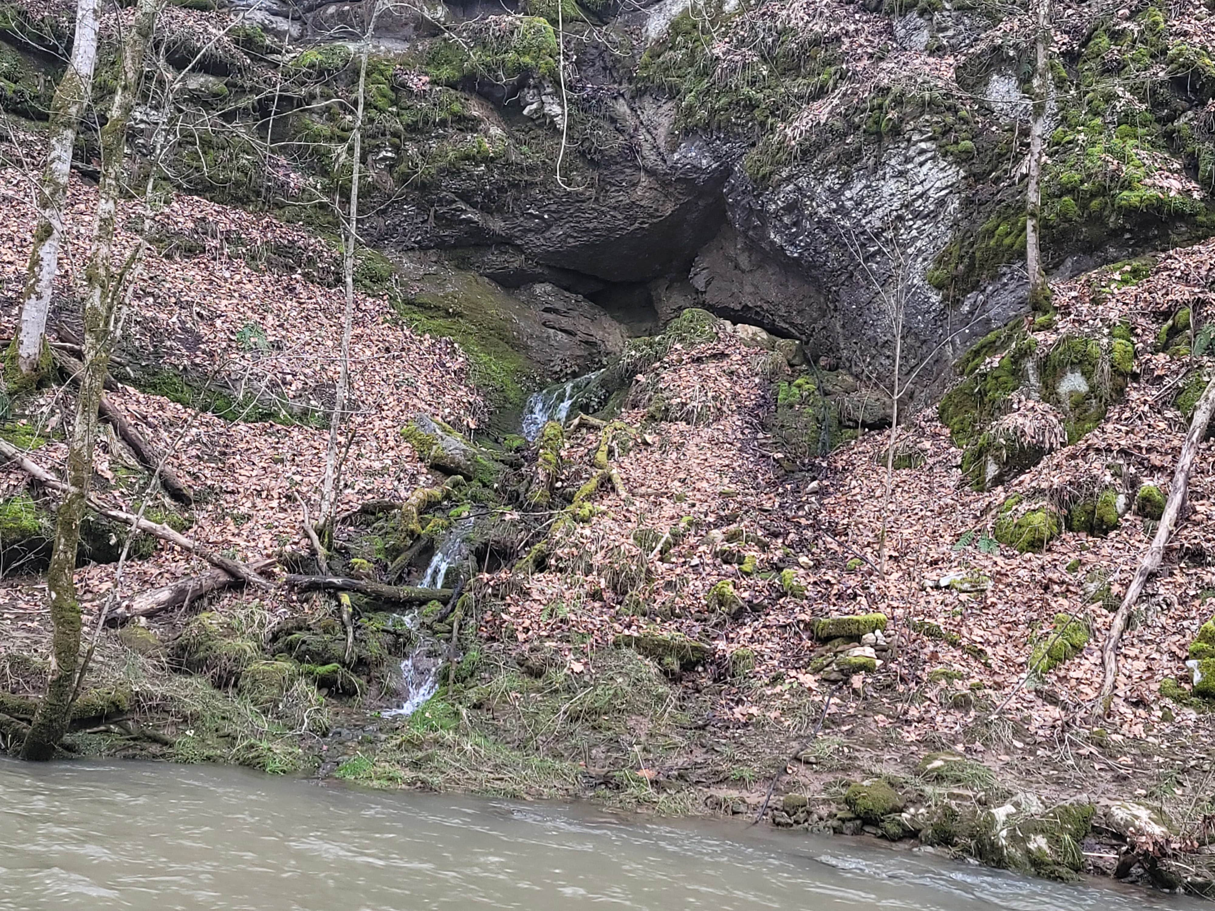 Camper-submitted photo at Misfit Farmz Campground near Shawanee, TN