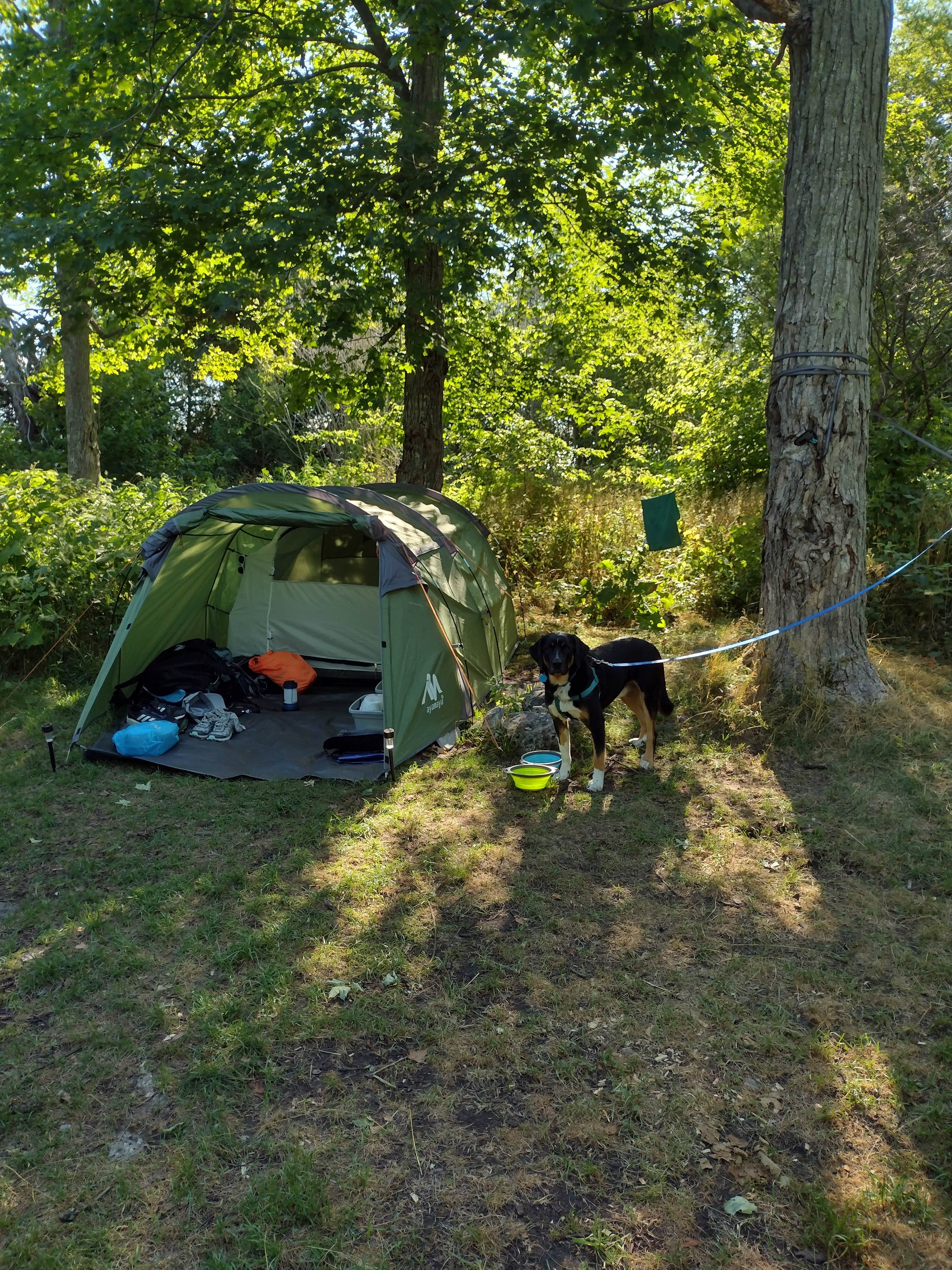 Kim H.'s photo of camping with pets at Newport State Park Campground near Escanaba, MI