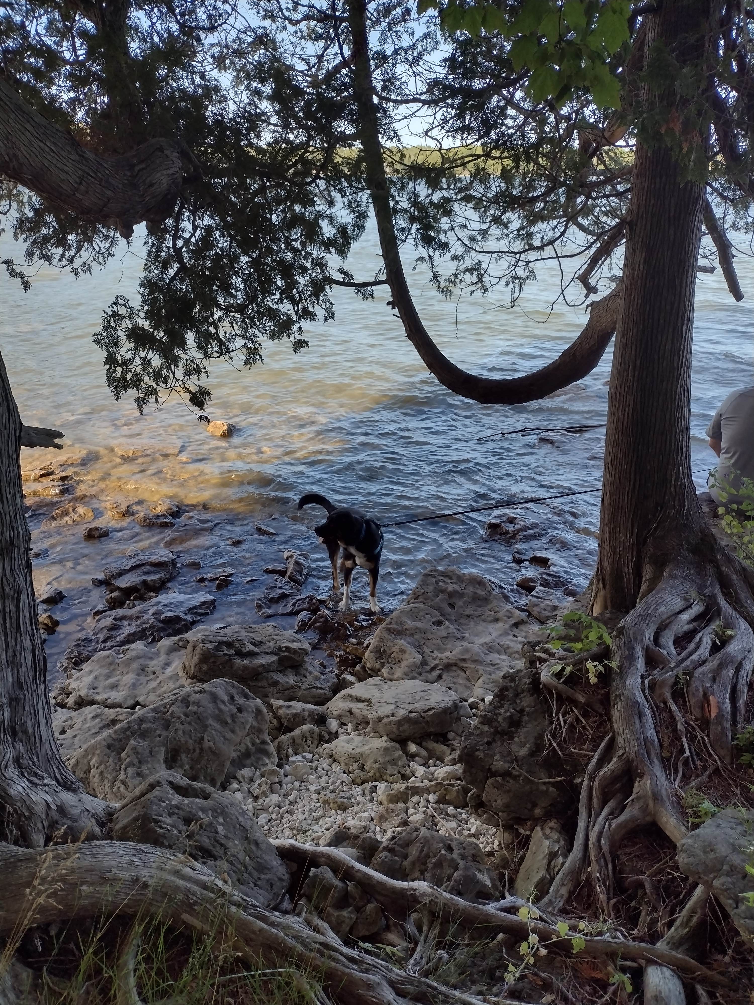 Kim H.'s photo of camping with pets at Newport State Park near Ephraim, WI
