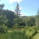 Review photo of Camp Glen Wendel Primitive Backcountry — Yellow River State Forest by James M., July 29, 2022