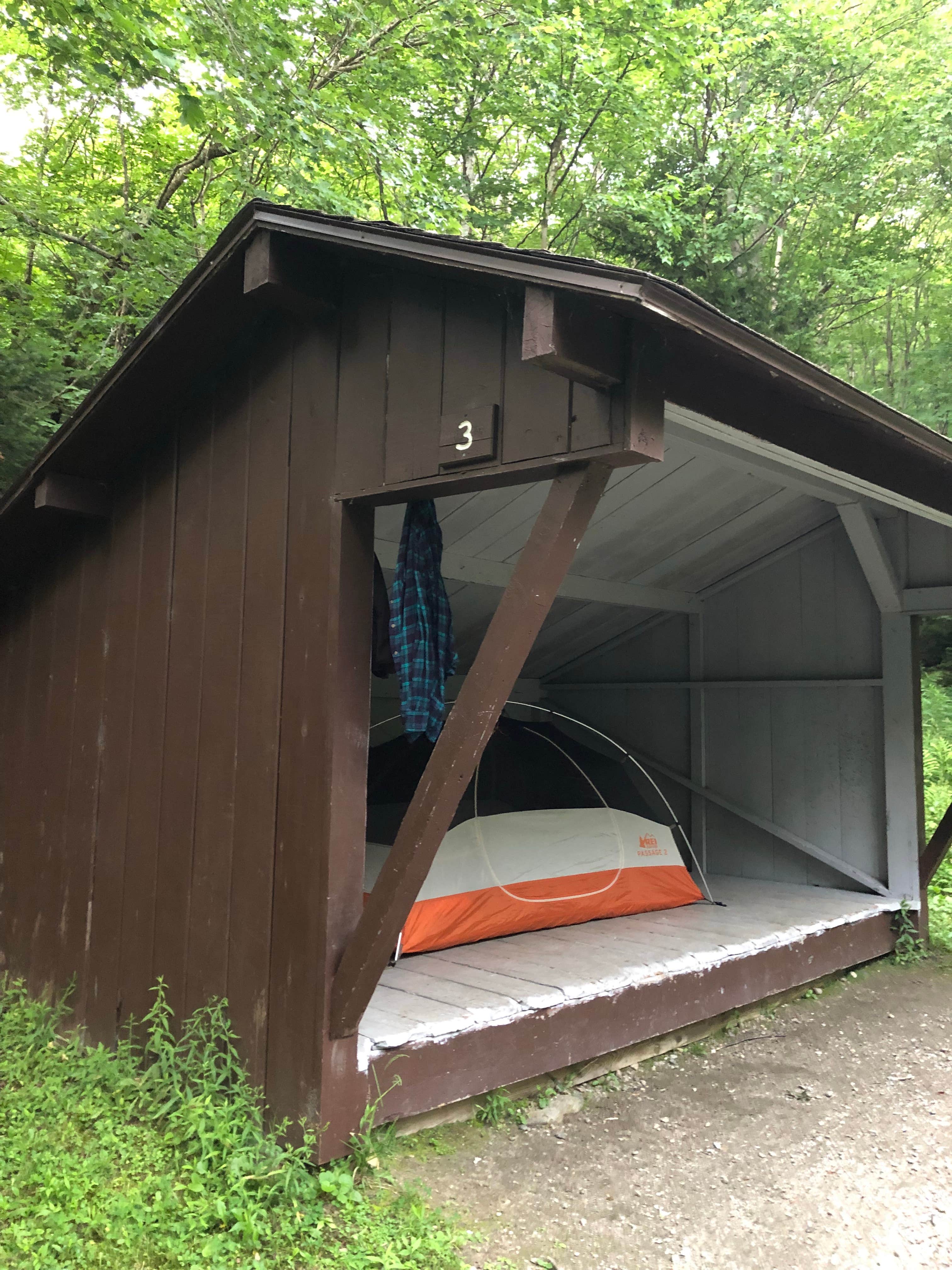 Molly G.'s photo of camping with pets at Underhill State Park Campground near Swanton, VT