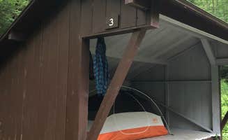 Molly G.'s photo of camping with pets at Underhill State Park Campground near Jericho, VT