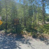 Review photo of Quartz Creek Campground by Riley N., July 29, 2022