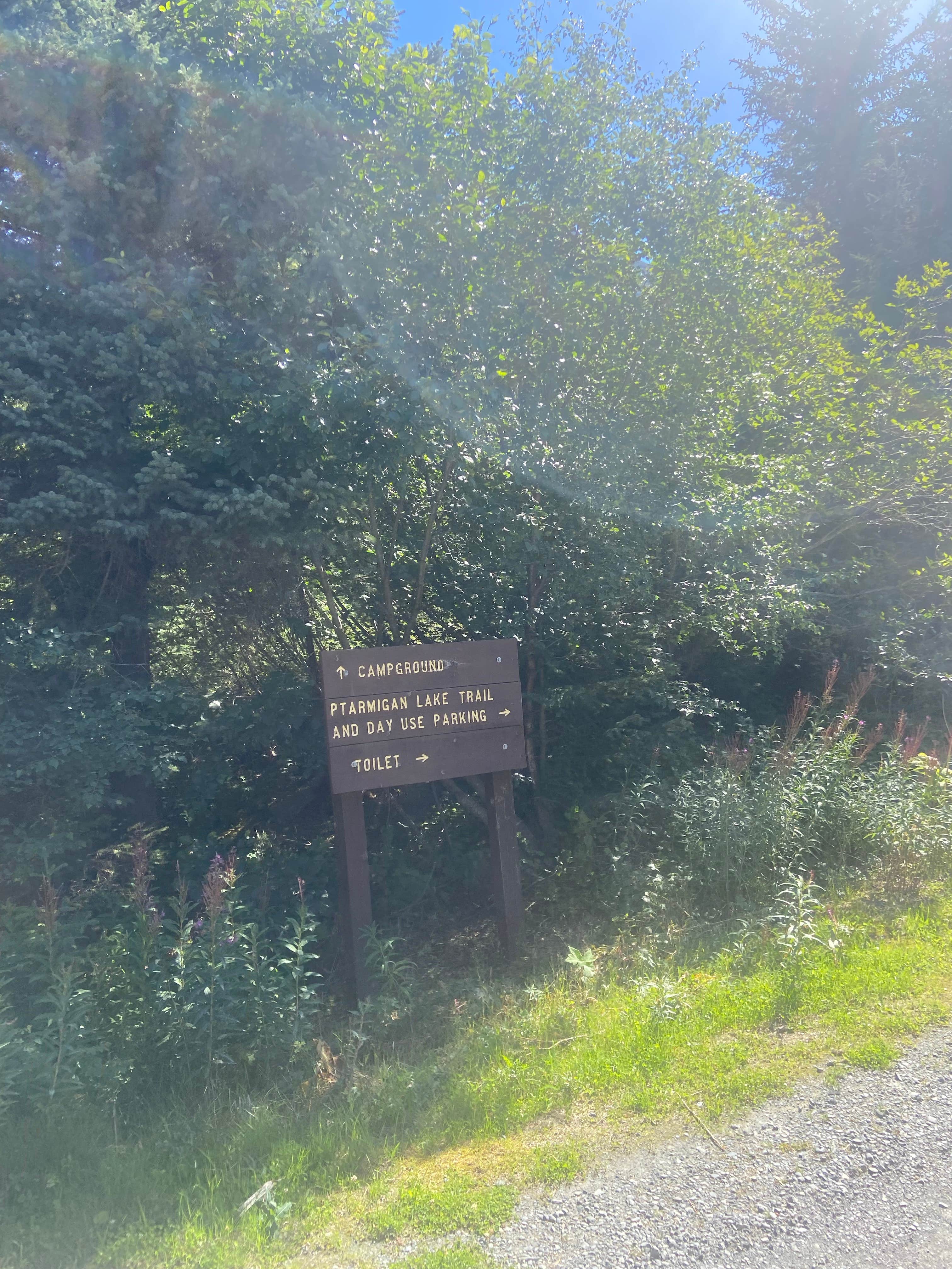 Camper-submitted photo at Chugach National Forest Ptarmigan Campground near Moose Pass, AK