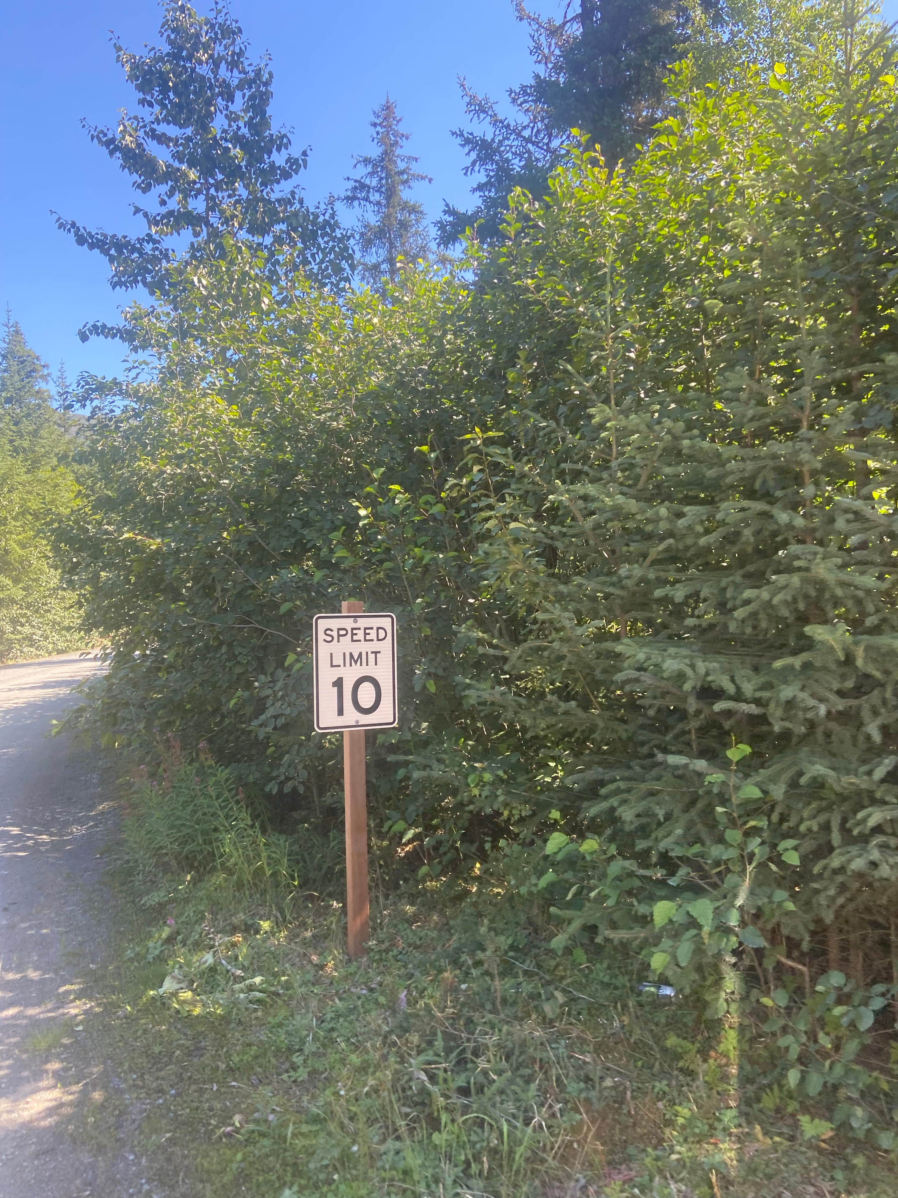 Camper-submitted photo at Chugach National Forest Ptarmigan Campground near Moose Pass, AK