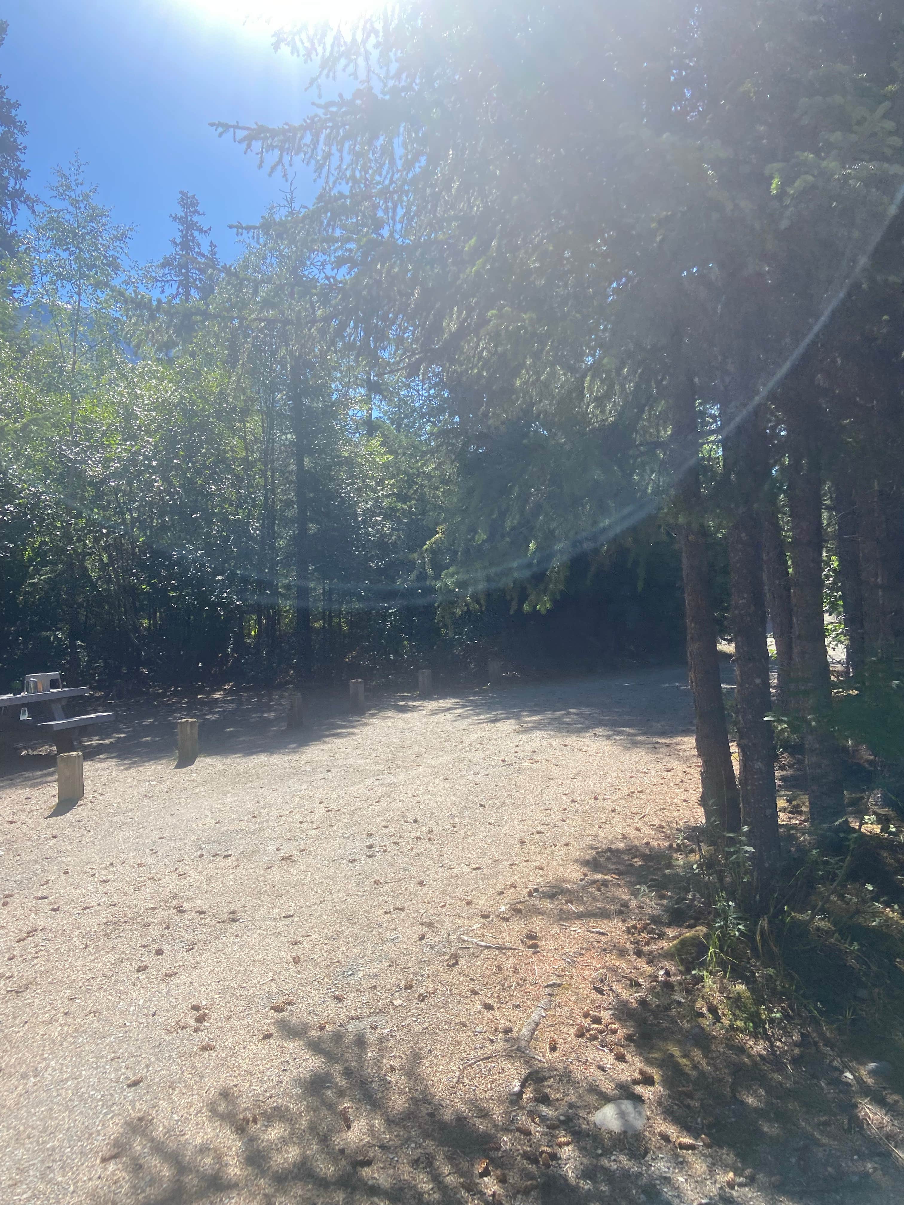 Camper-submitted photo at Chugach National Forest Ptarmigan Campground near Moose Pass, AK