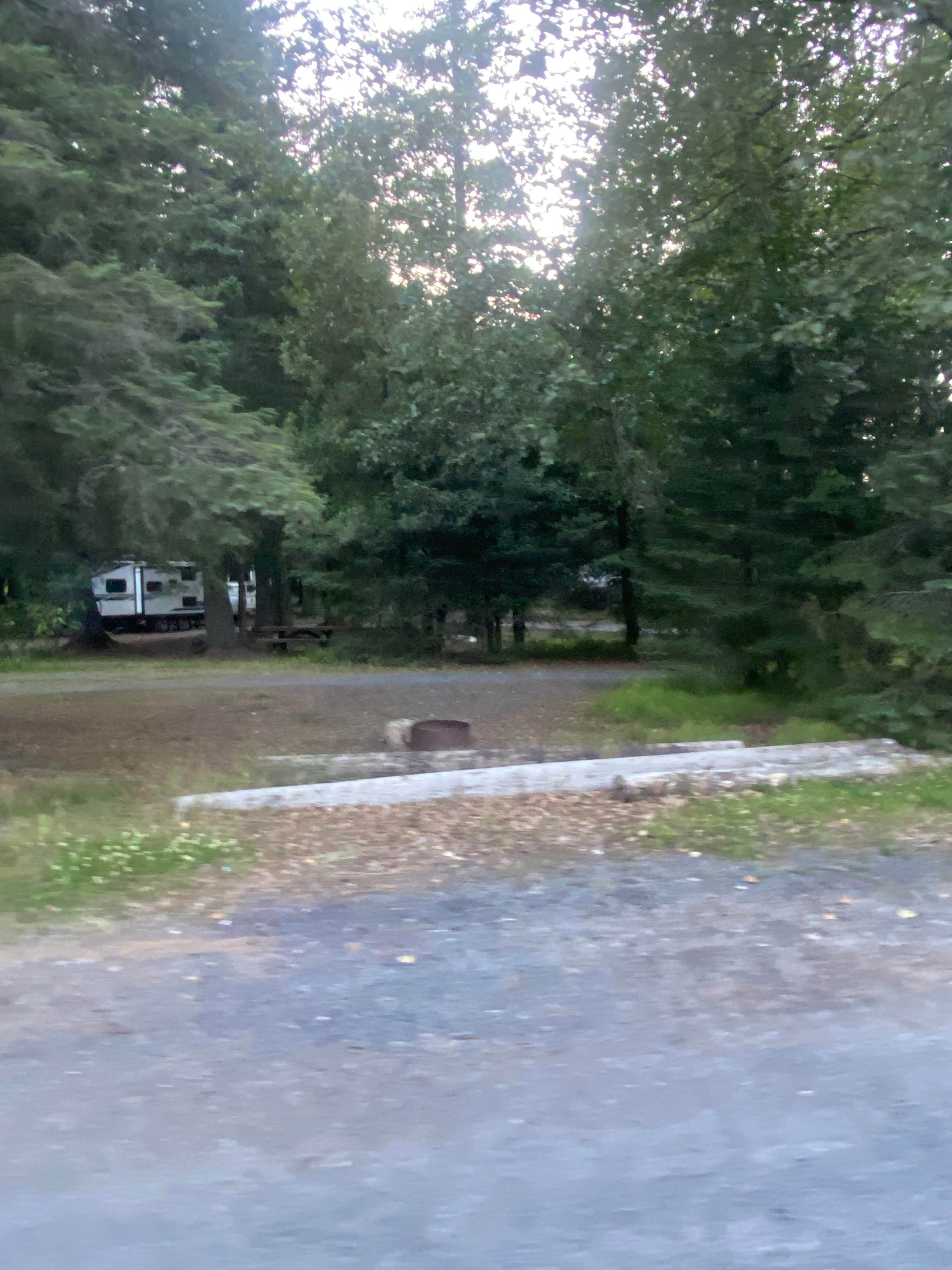 Riley N.'s photo of rv camping at Forest Acre Campground near Kenai Fjords National Park
