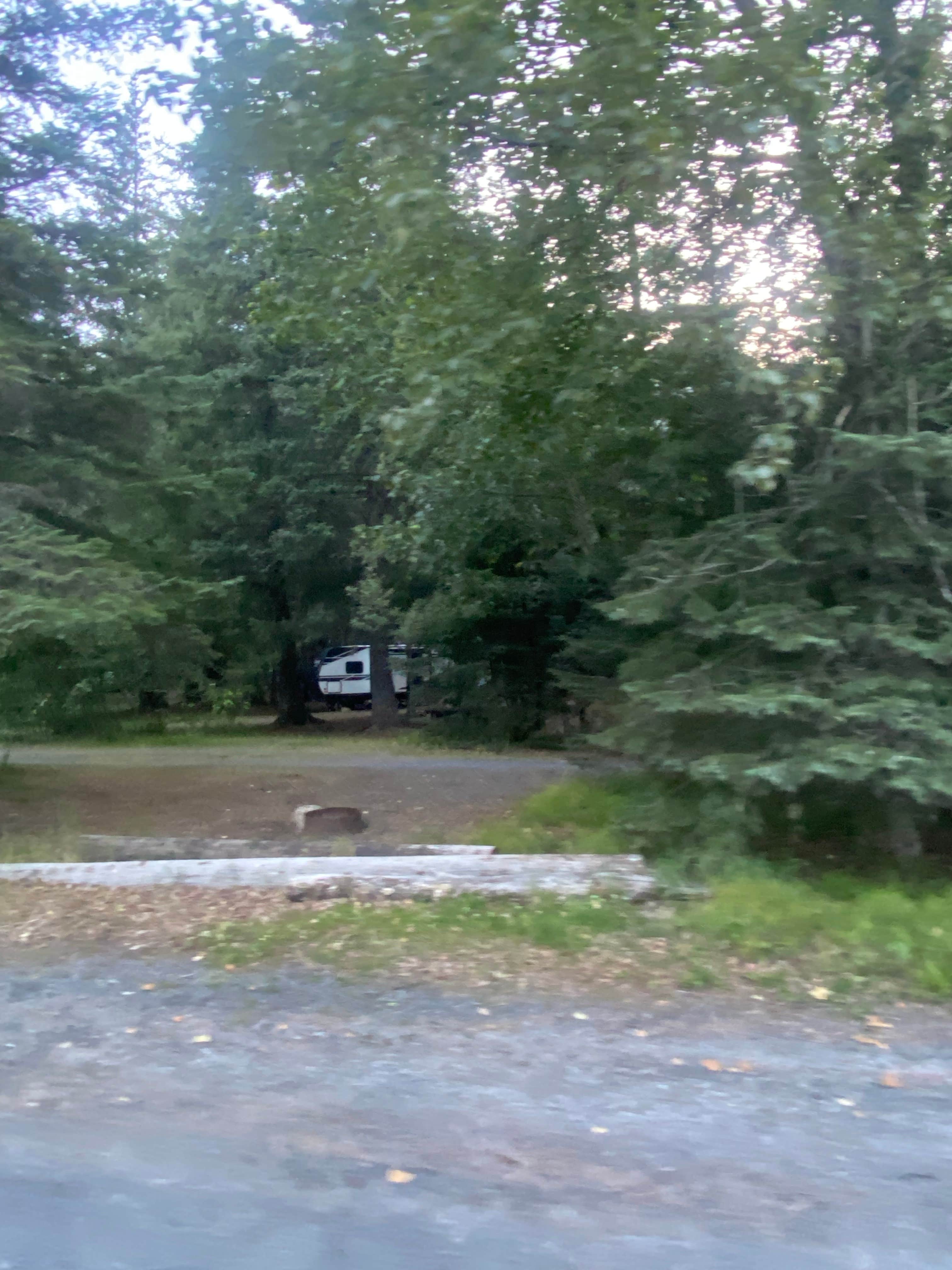 Camper submitted image from Forest Acre Campground - 1