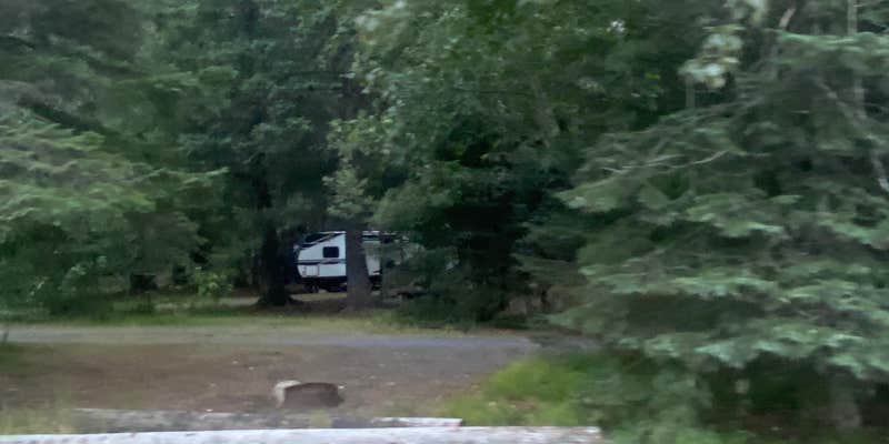 Camper submitted image from Forest Acre Campground