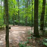 Review photo of Firefly Lake — Northern Highland State Forest by Art S., July 29, 2022