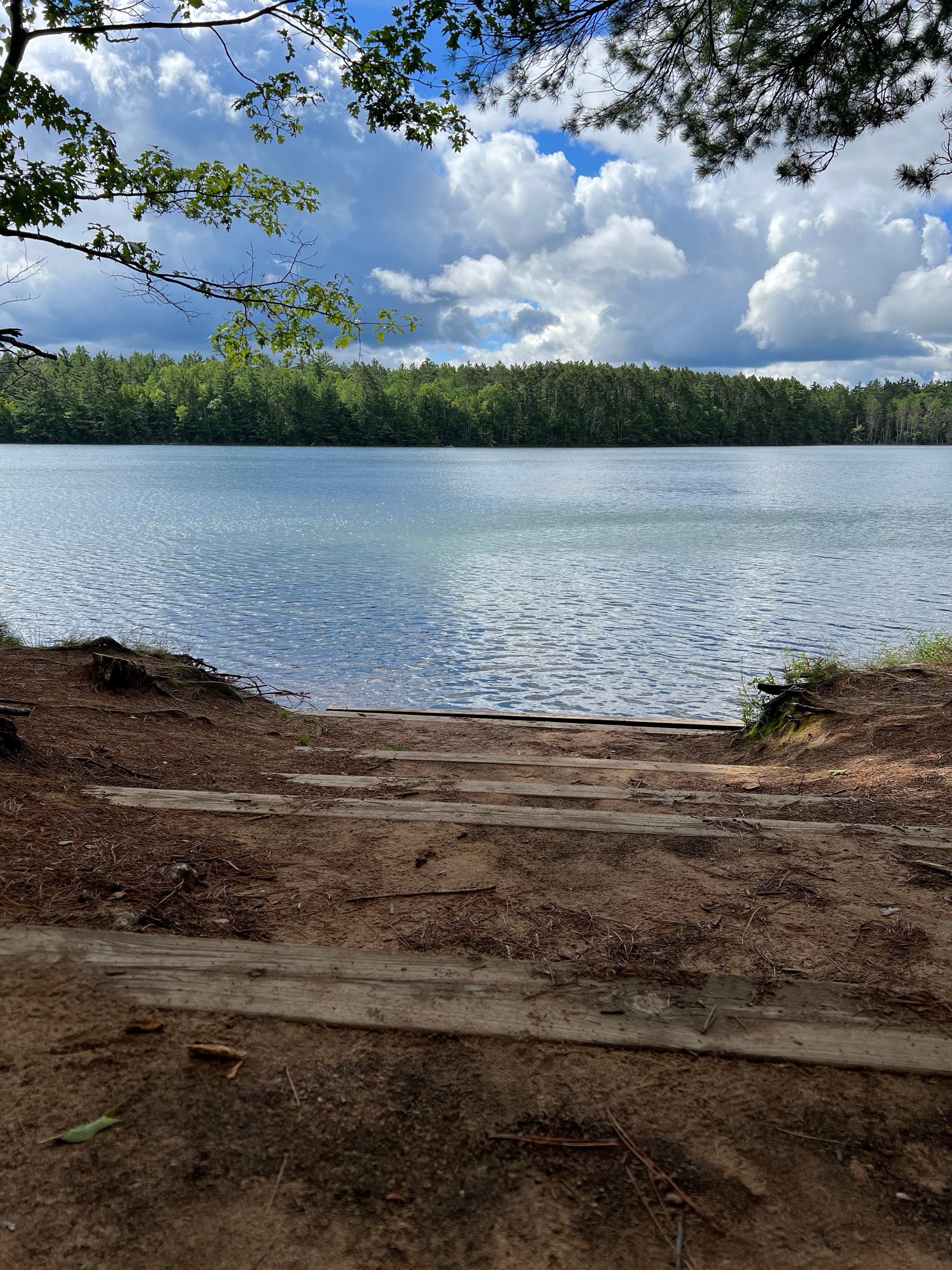 Camper submitted image from Firefly Lake — Northern Highland State Forest - 2