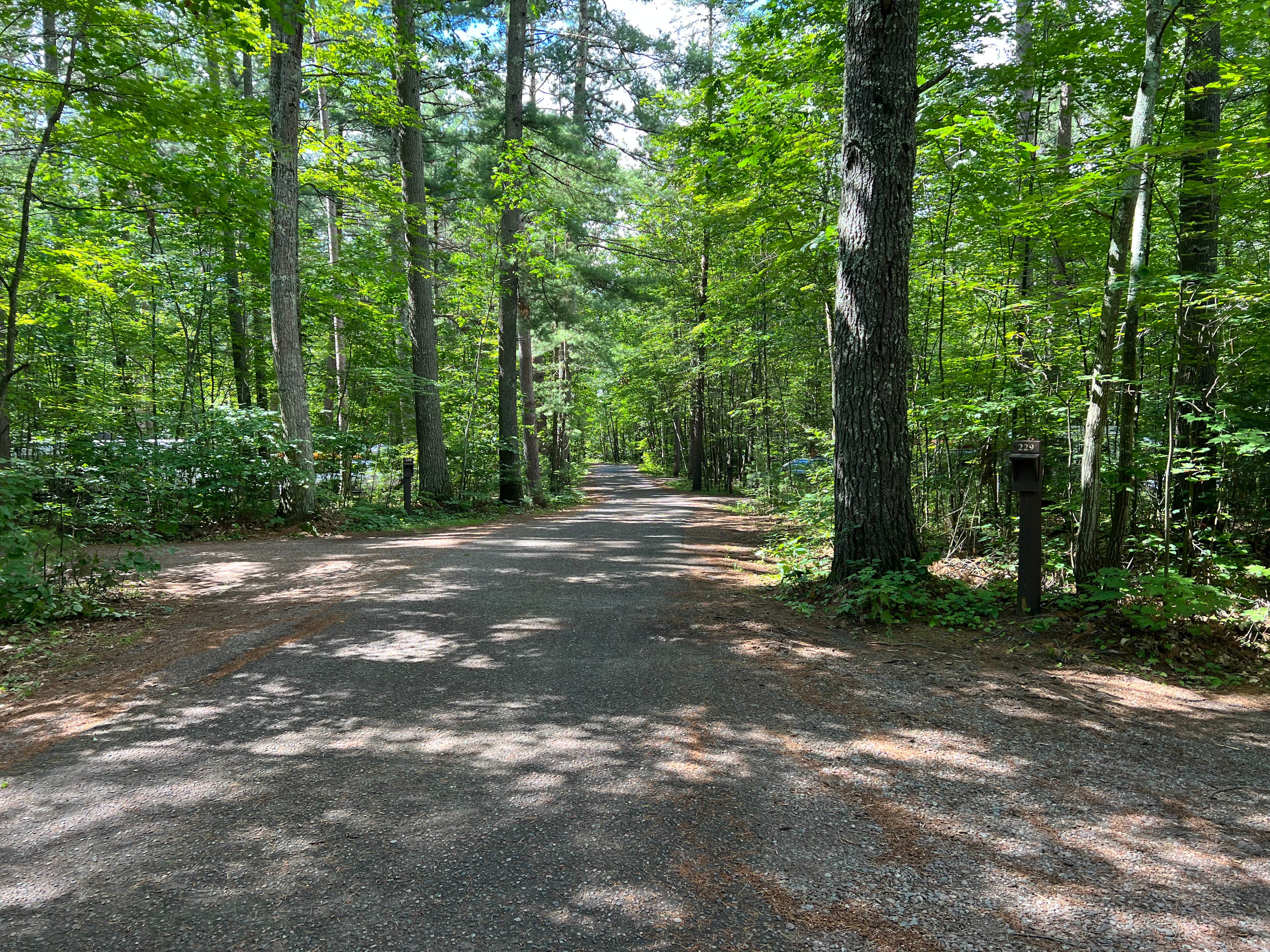 Camper submitted image from Firefly Lake — Northern Highland State Forest - 3