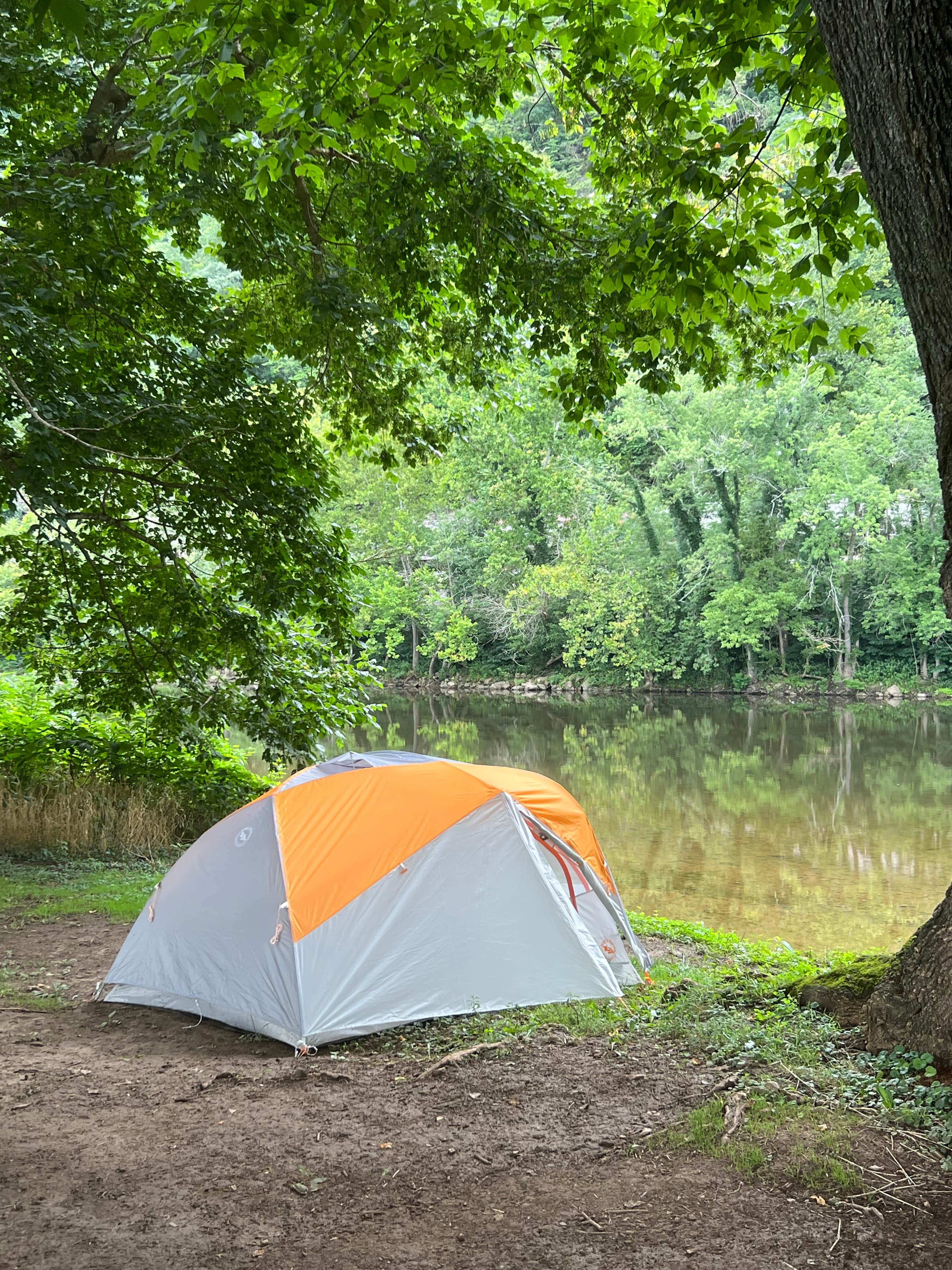 Camper submitted image from Breeden Bottom Campground - 1