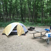 Review photo of Dunewood Campground — Indiana Dunes National Park by Niki and Sam S., July 21, 2018