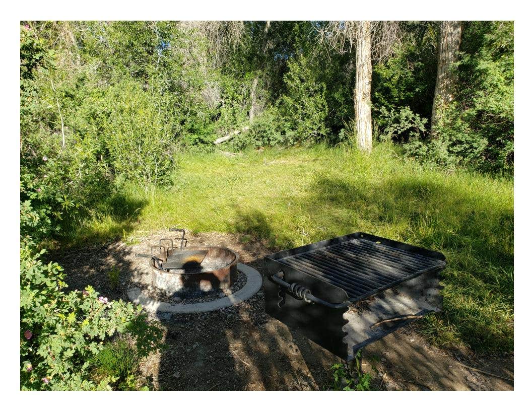 Camper-submitted photo at Monkey Rock Group Campsites — Great Basin National Park near Great Basin National Park