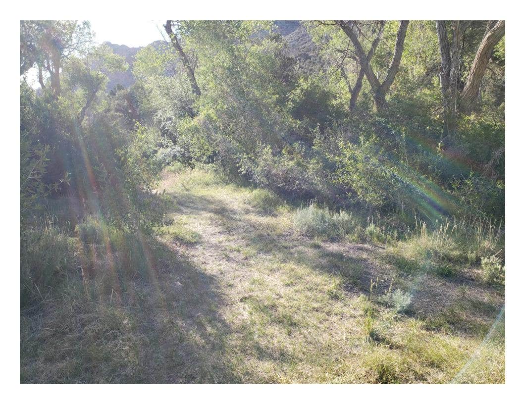 Camper-submitted photo at Monkey Rock Group Campsites — Great Basin National Park near Great Basin National Park