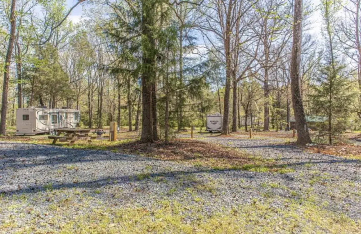 Camper-submitted photo at Camp Henning at Ellerbe Springs near Spring Lake, NC